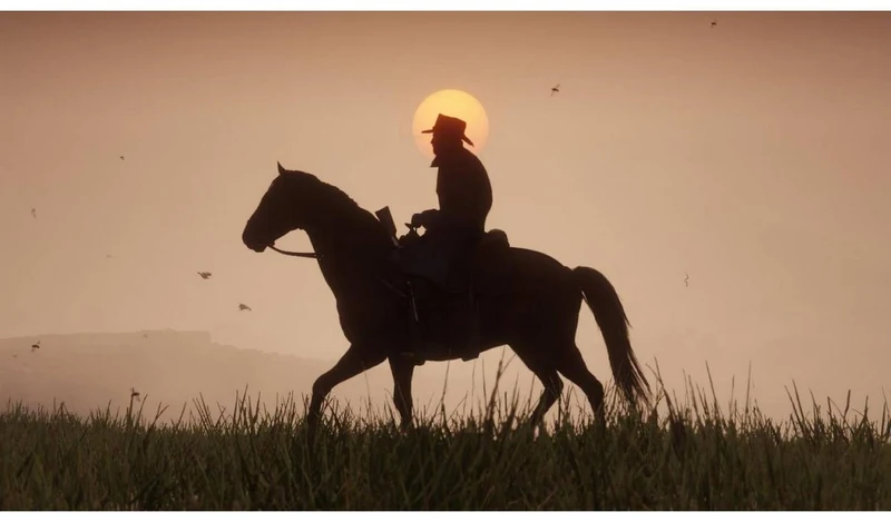 Red Dead Redemption 2 (Xbox One)