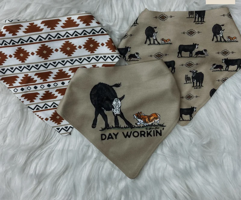 3 Pack Drool Bibs - Day Workin