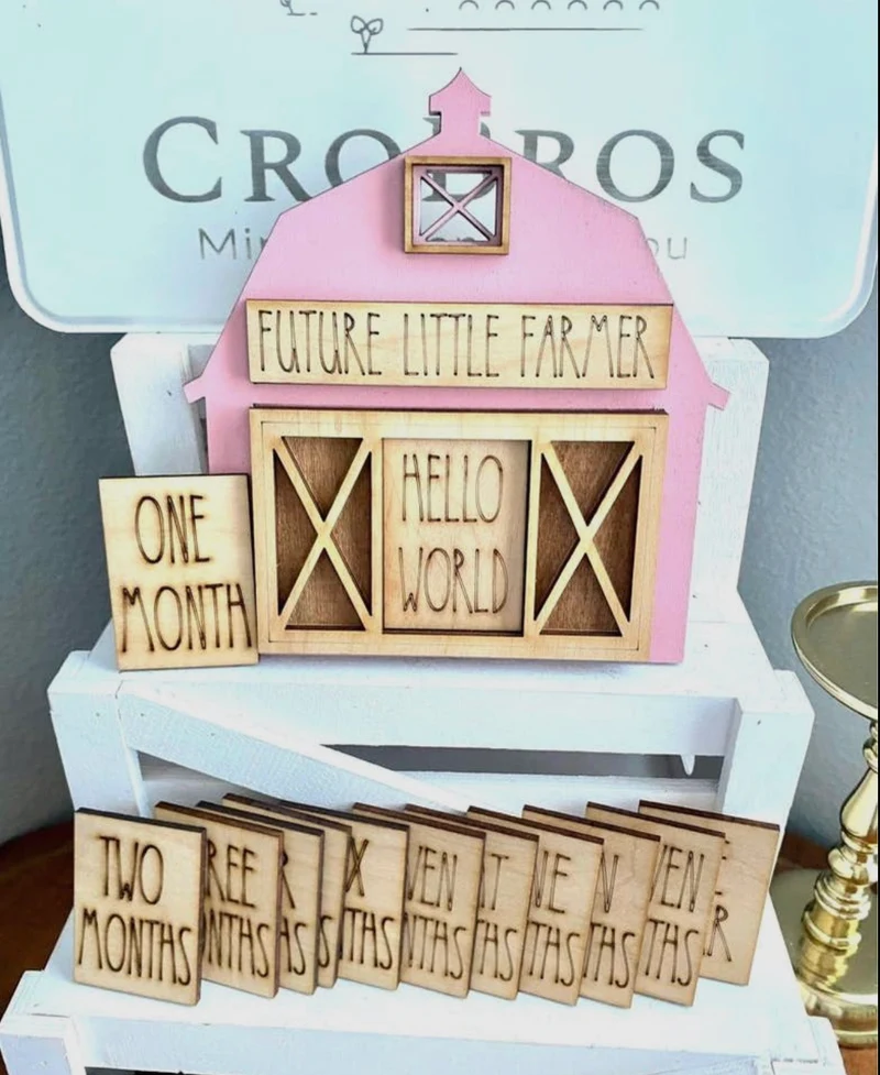 Pink Barn Baby Announcement & Monthly Milestone