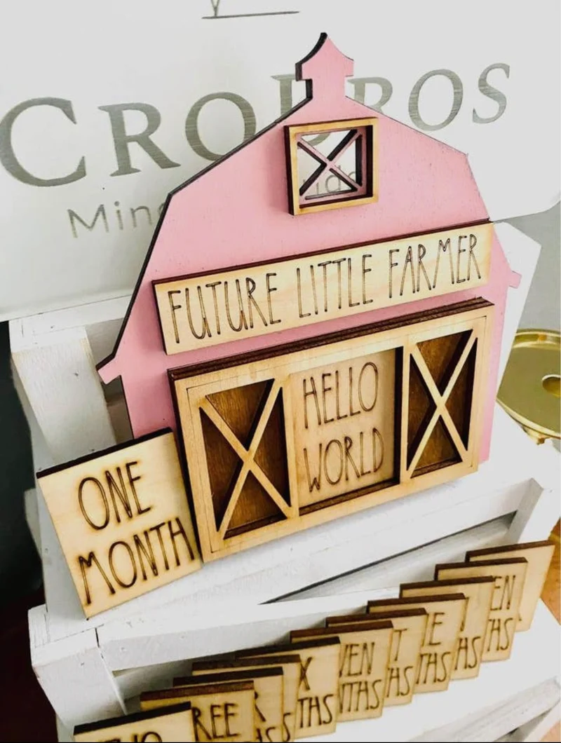 Pink Barn Baby Announcement & Monthly Milestone
