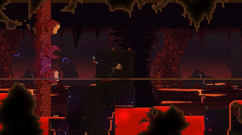 Terraria Nintendo Switch Edizione Americana