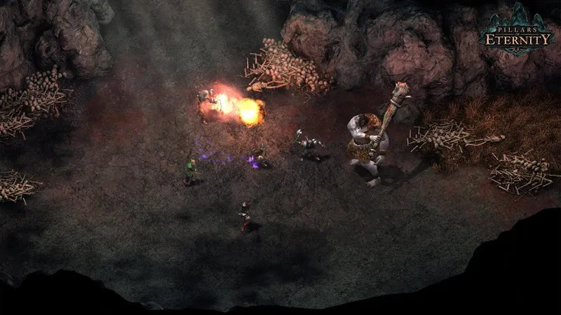 Pillars of Eternity: Hero Edition