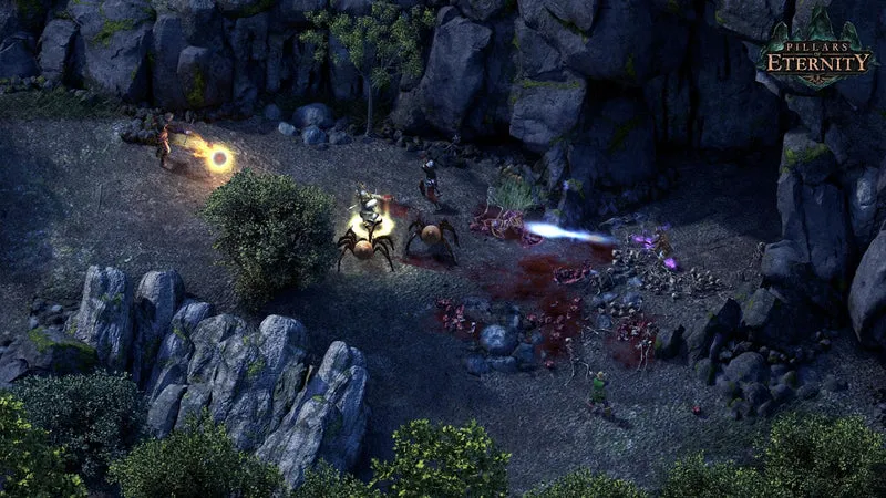 Pillars of Eternity: Hero Edition