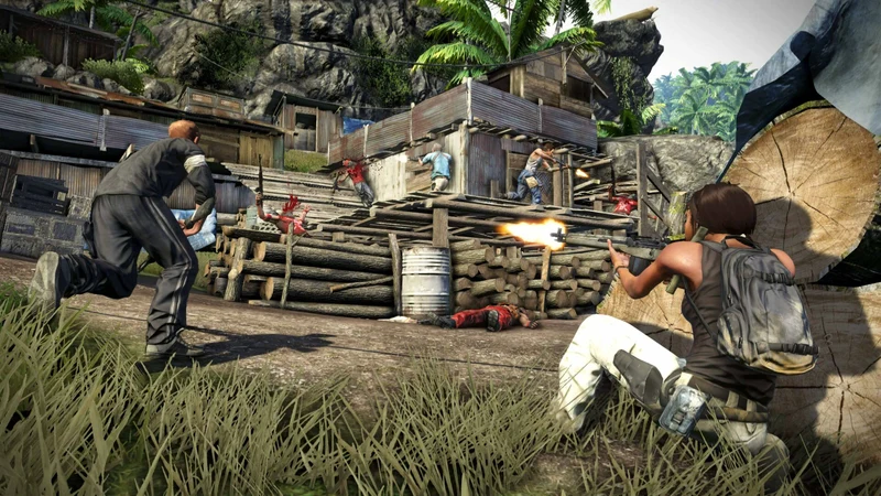 Far Cry 3