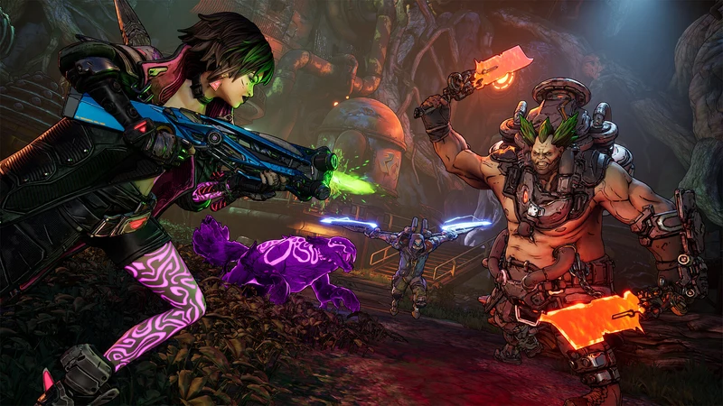 Nintendo Switch 2 Borderlands 4