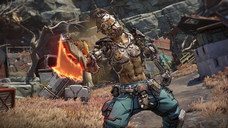 Nintendo Switch 2 Borderlands 4