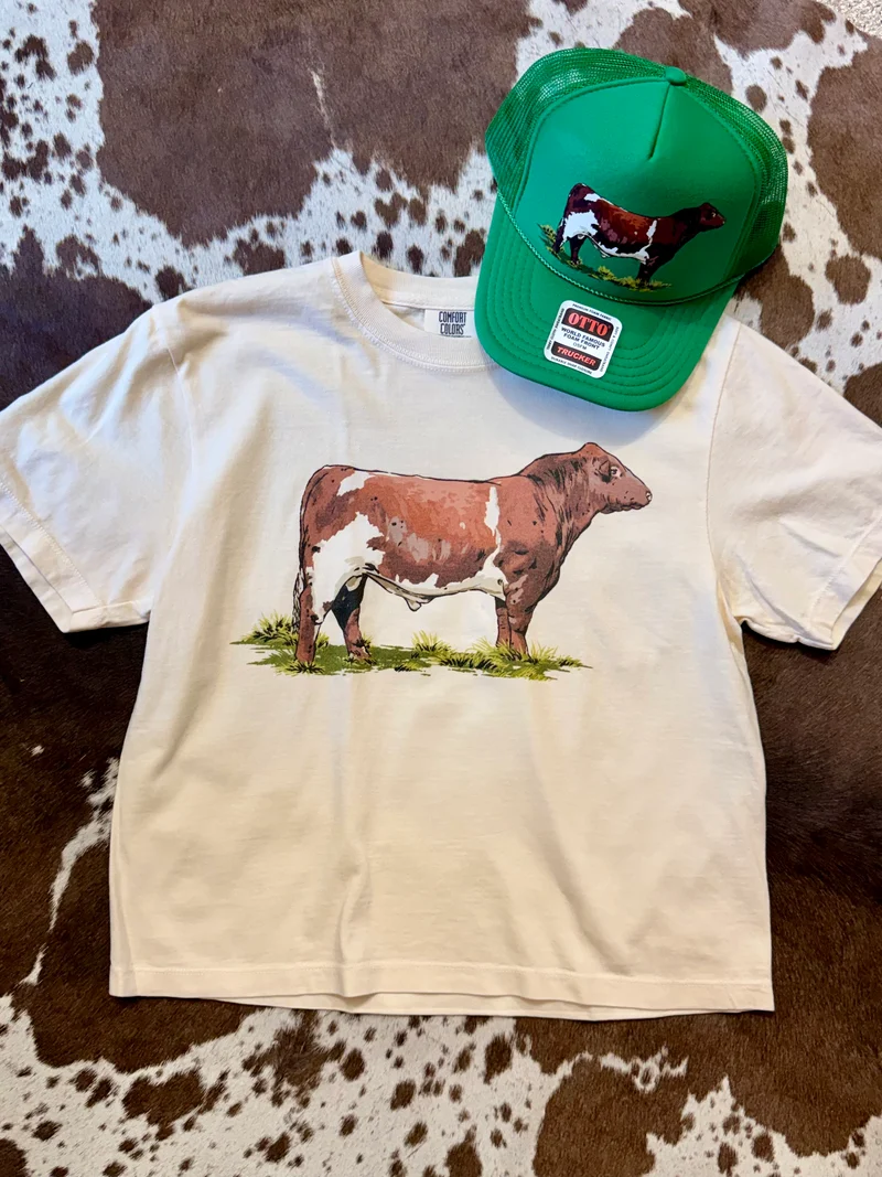 Shorthorn Bull Stone Boxy Tee