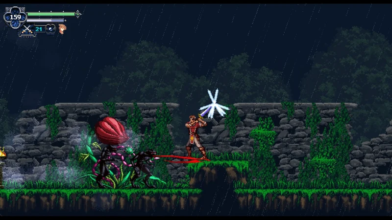Chronicles of the Wolf Nintendo Switch Edizione Europea