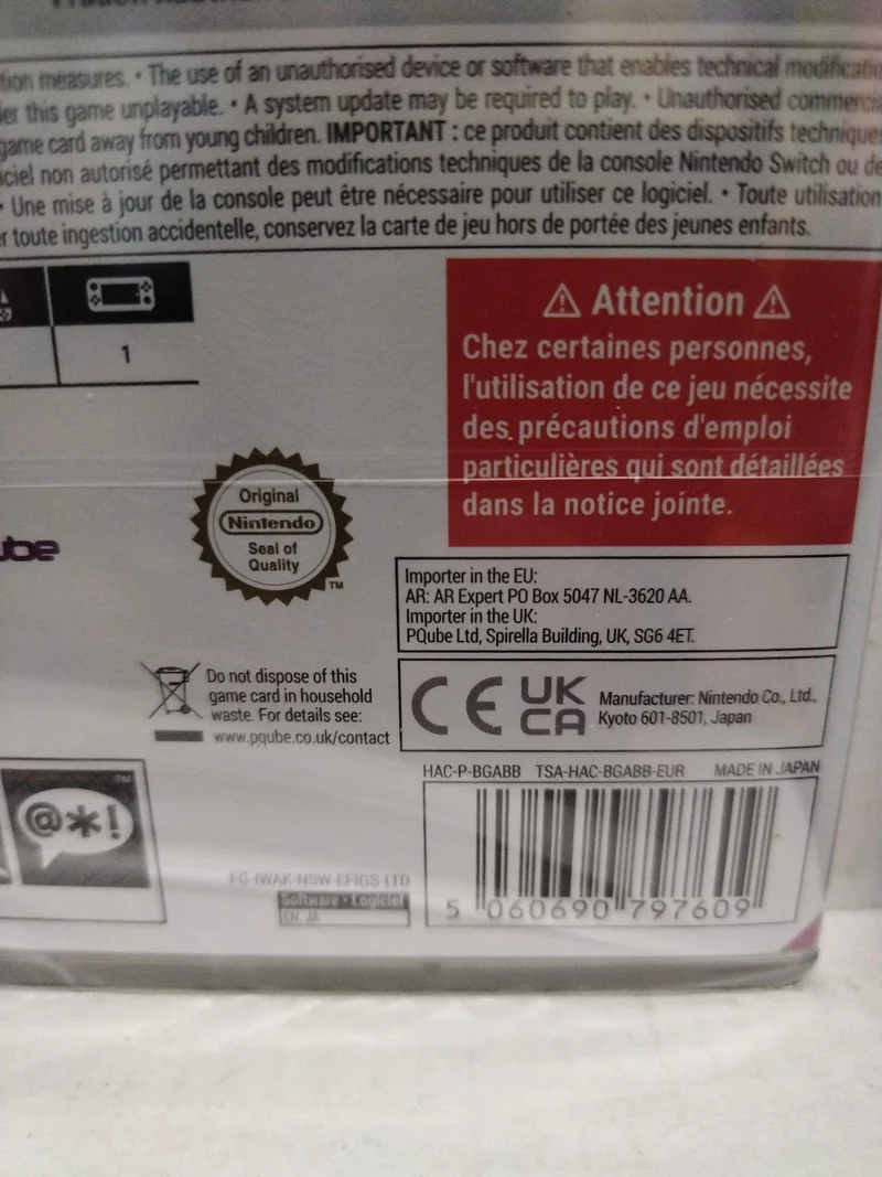 Iwakura Aria Nintendo Switch Edizione Europea