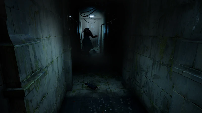 HORROR TALES: The Wine - PlayStation 5 Edizion Europea