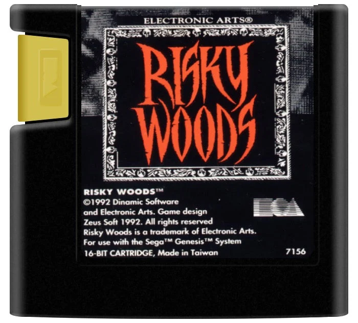 Risky Woods - Sega Genesis
