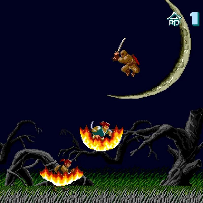 Ninja Spirit