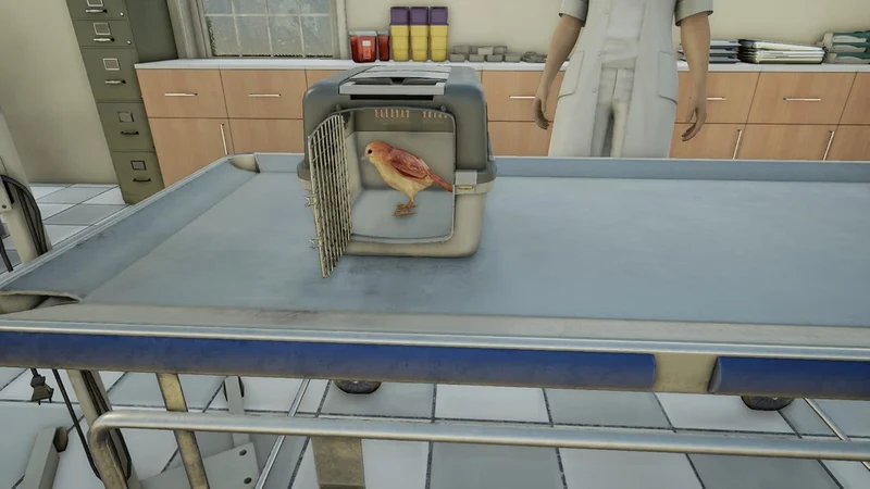 Animal Doctor – PlayStation 4