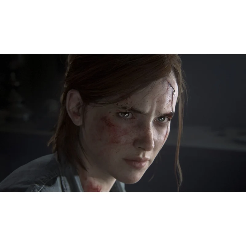 PS4 The Last of Us Part 2