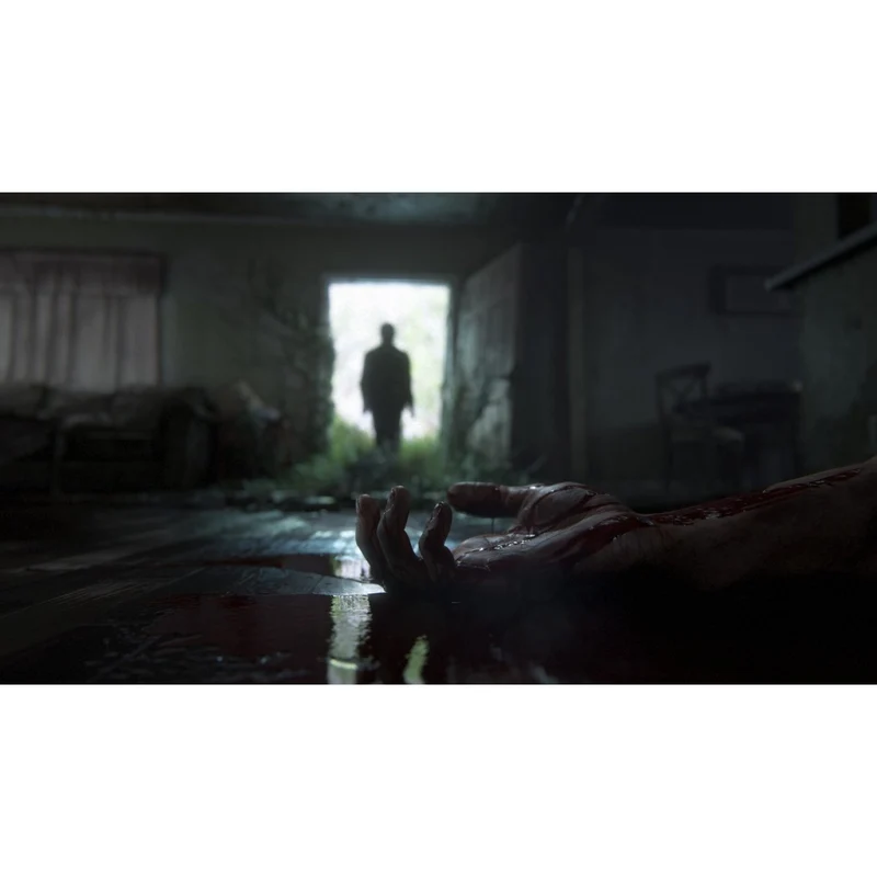 PS4 The Last of Us Part 2