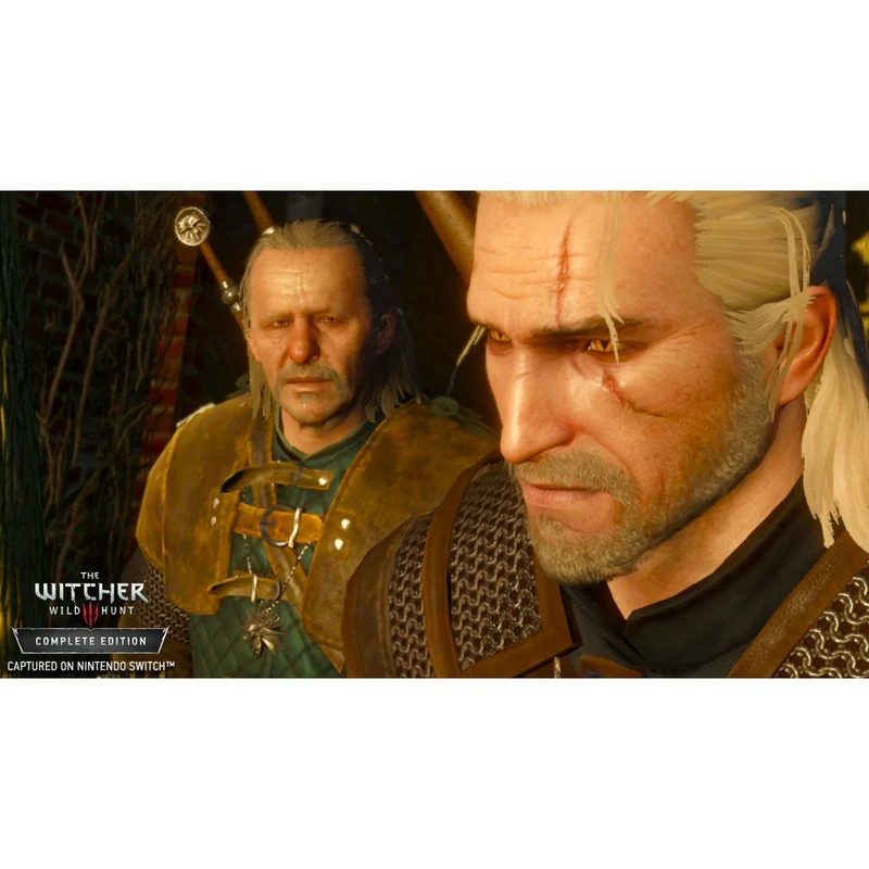 Nintendo Switch The Witcher 3: Wild Hunt