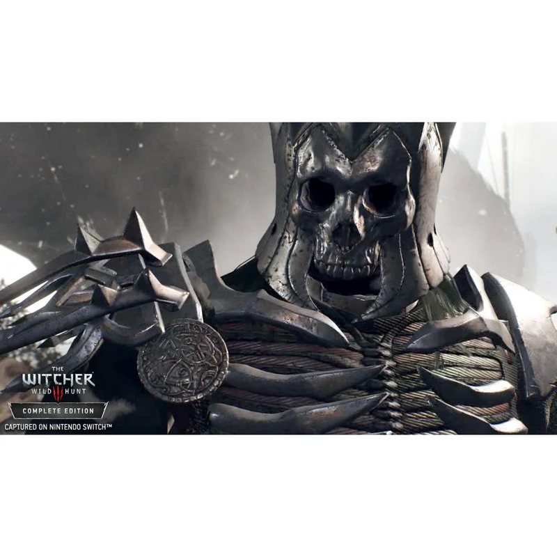 Nintendo Switch The Witcher 3: Wild Hunt