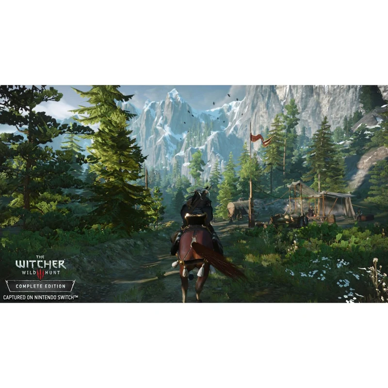 Nintendo Switch The Witcher 3: Wild Hunt