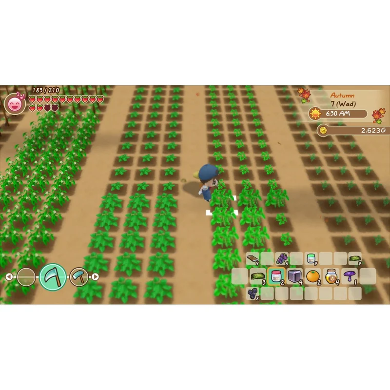 Nintendo Switch Story of Seasons: Friends of Mineral Town