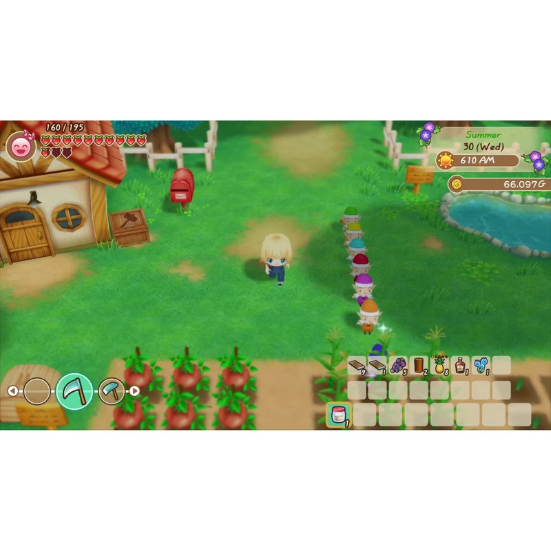 Nintendo Switch Story of Seasons: Friends of Mineral Town