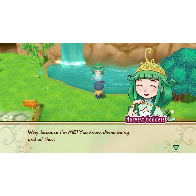Nintendo Switch Story of Seasons: Friends of Mineral Town
