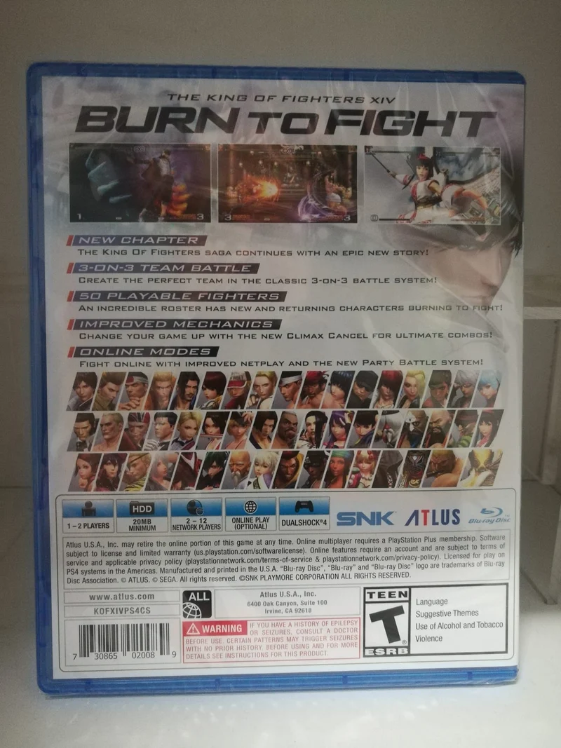 THE KING OF FIGHTERS XIV PS4 (versione americana)