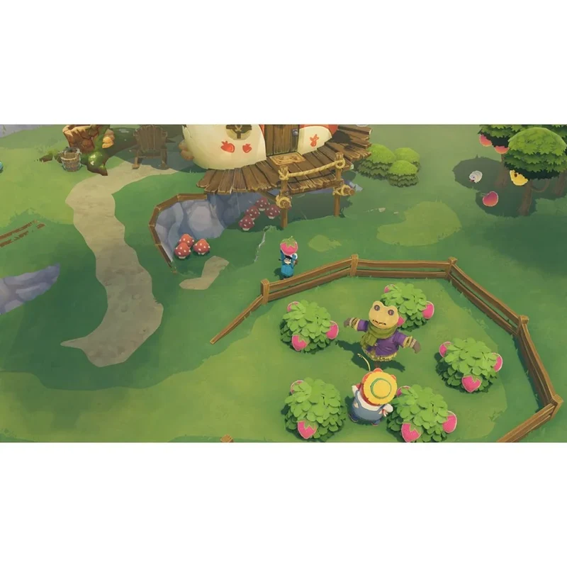 Time on Frog Island Playstation 5 Edizione Europea