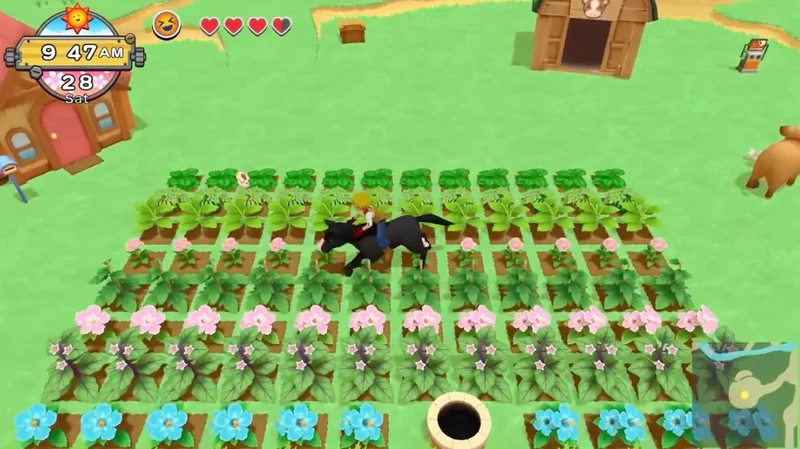 Nintendo Switch Harvest Moon: One World