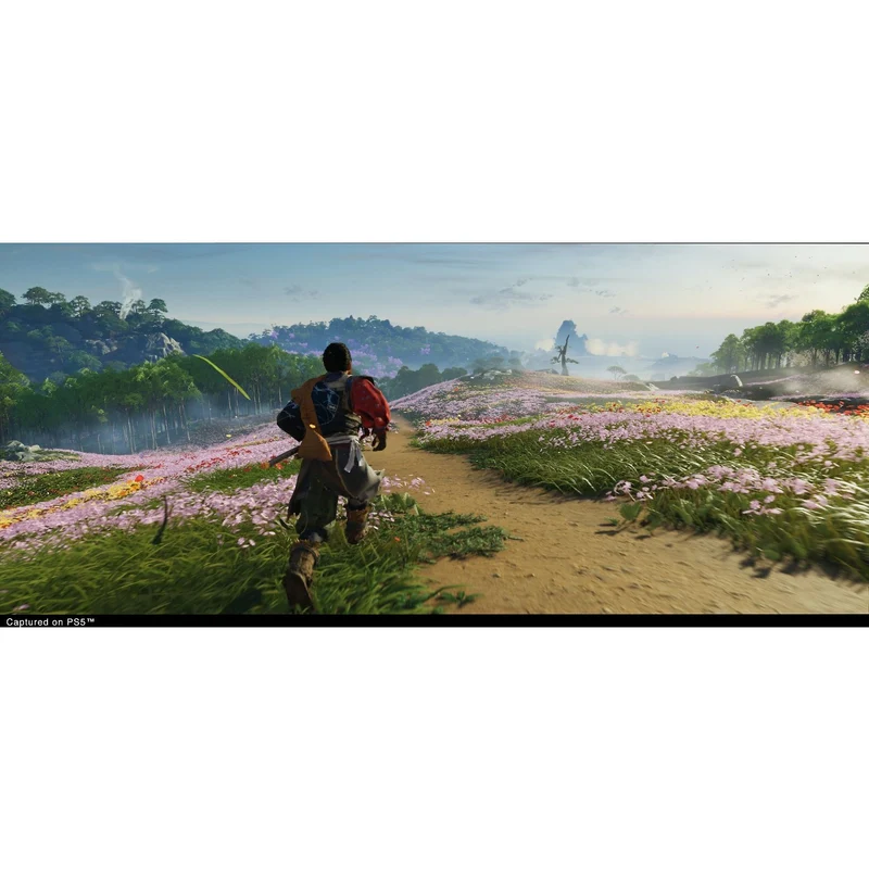Ghost of Tsushima Director's Cut PS5 Game