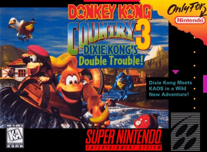 Donkey Kong Country 3 - Nintendo SNES